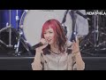 Nemophila-Anatadare Naon Yaon 2025