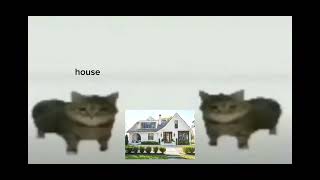 This Is A House