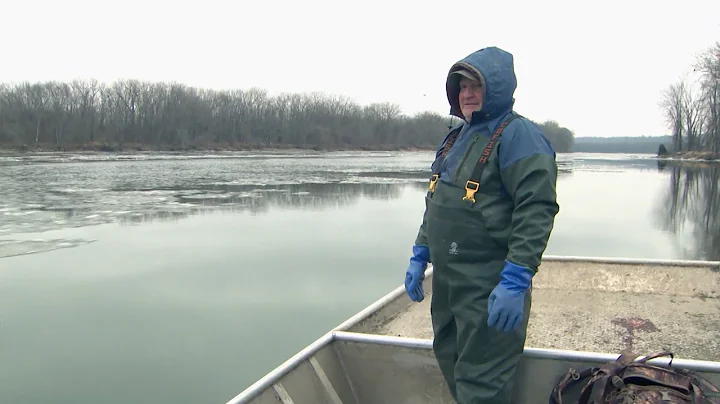 Comedy Night | Bottom Feeders | Season 3 Episode 10