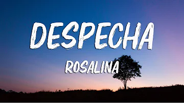 ROSALÍA - DESPECHÁ (Letra/Lyrics)