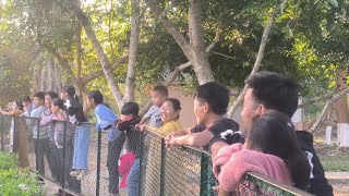 Zoological park Dimapur Nagaland