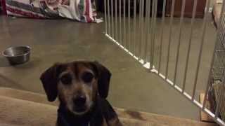 Gravity Game Version 3.0 screenshot 1