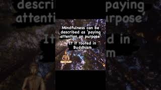 Easy Mindfulness for School Net Worth