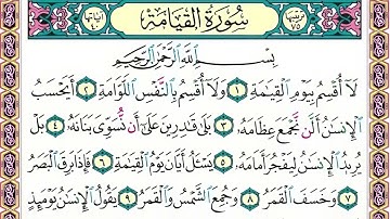 75 رقم سورة القيامة بصوت القارئ محمد الفقيه