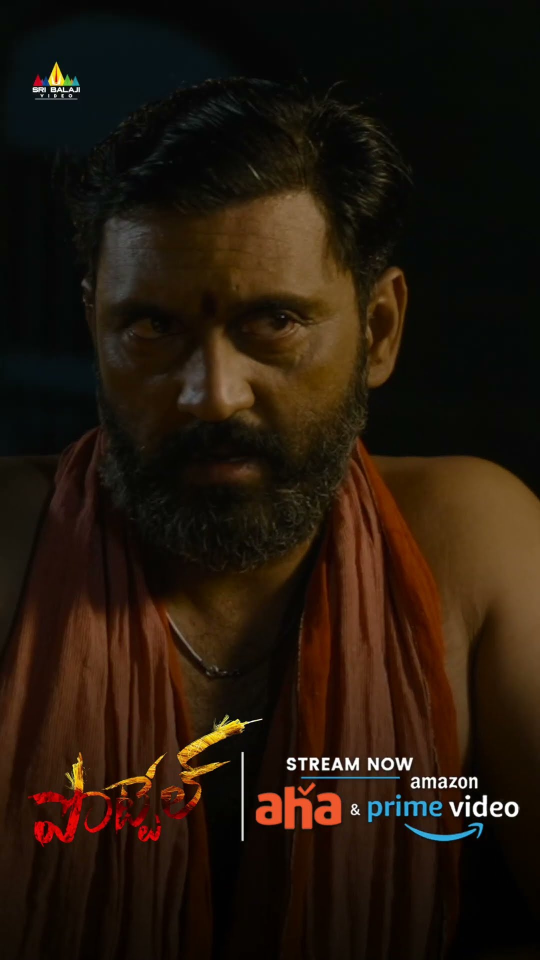 ఊర్ల మా ఇంట్ల అడుగువేట్టే దమ్ము ఎవడికి లేదు.! POTTEL?Movie Streaming on Prime Video \u0026 Aha Video
