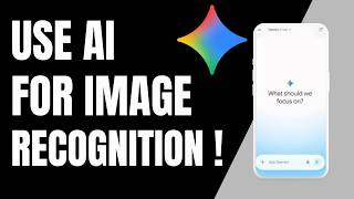 How to Use Gemini AI for Image Recognition !