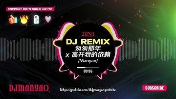 2IN1✈️匆匆那年 x 离开我的依赖 【DJ REMIX】