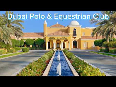 Dubai Polo & Equestrian Club |#dubai #polo | 4k | drive