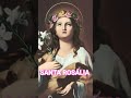 Dia de Santa Rosália Rogai por nós Amém.❤️❤️❤️❤️🩷🩷🙌🙌🙌🙌🙏🙏🙏🙏🎉🎊🎉🎊🎉🎉🎉🎊🎊🎉👏👏👏👏👏👏👏👏👏👏