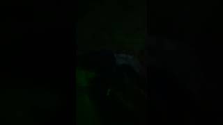 Huggy Wuggy Farts And Sleep He Wakes