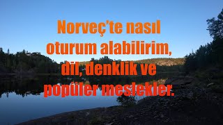 Norveç’te nasıl oturum alabilirim, dil, denklik ve popüler meslekler.
