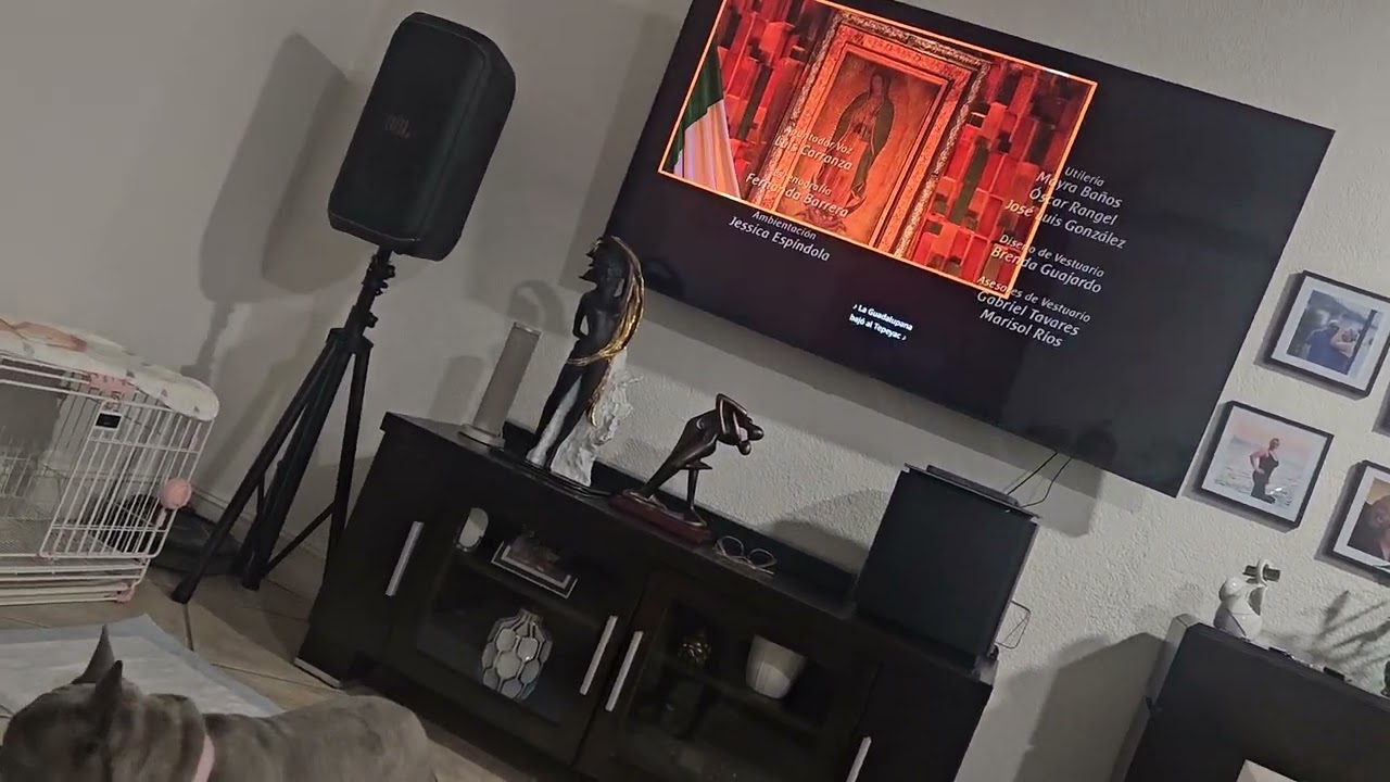 La rosa de guadalupe creditos 2023