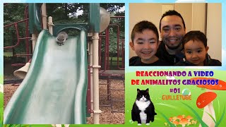 Reaccionando a video de animalitos graciosos parte #01