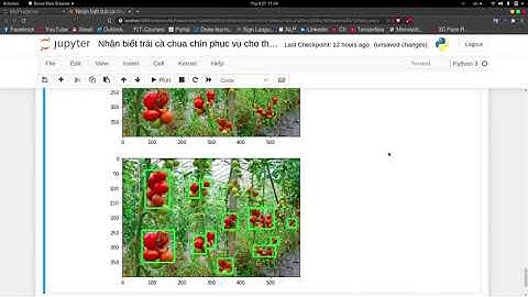 [Minilab]-[Image processing]-Demo phân biệt quả cà chua chín thông qua thông tin về màu sắc.