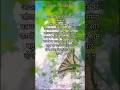 May 2025 #bibleverse #inspiration #nature #shorts