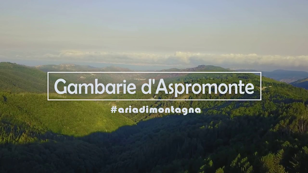 Gambarie d'aspromonte e Diga del Menta landscape Drone - Calabria