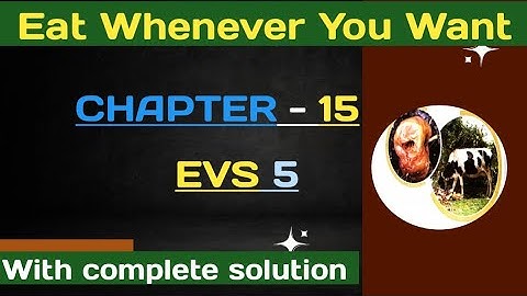 Eat Whenever You Want // EVS // Chapter 15 // Class 5 // #EVS