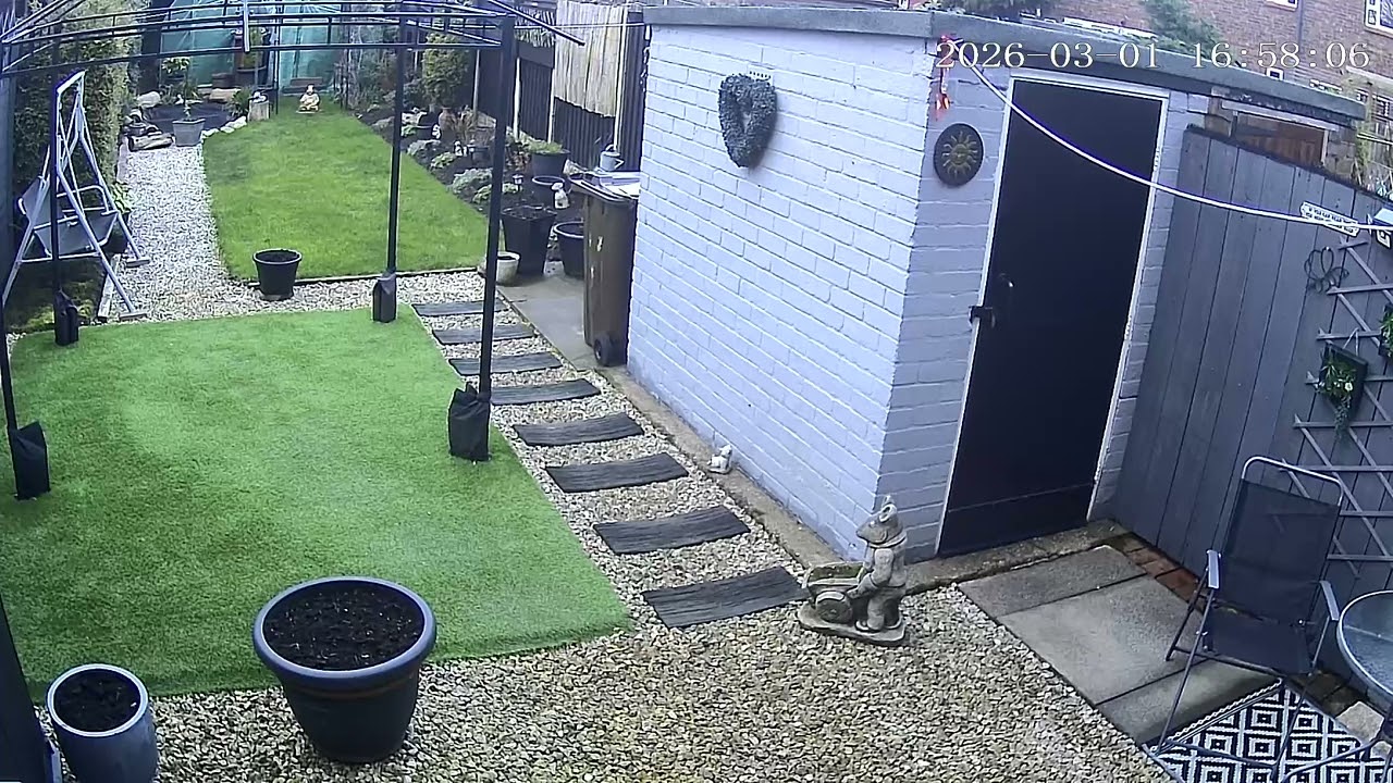 (1/3/2026) 16:56pm HULL (Uk) BYC [0558]