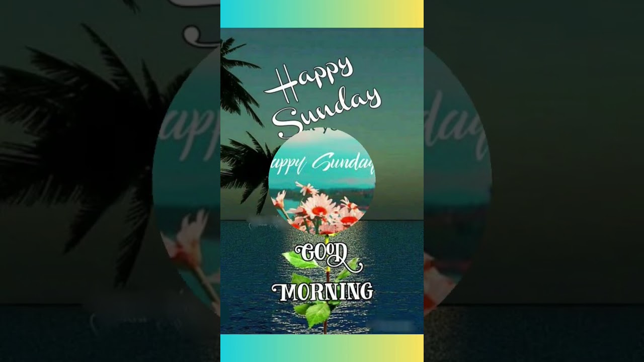 Good morning wishes// Good morning whatsapp status video// Good morning status 