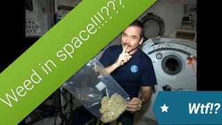 The times we sent cannabis, weed mota to space!!