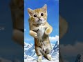 un bailesito pa tiktok 😼😼😼#gatitos #gatedcommunity ★★★