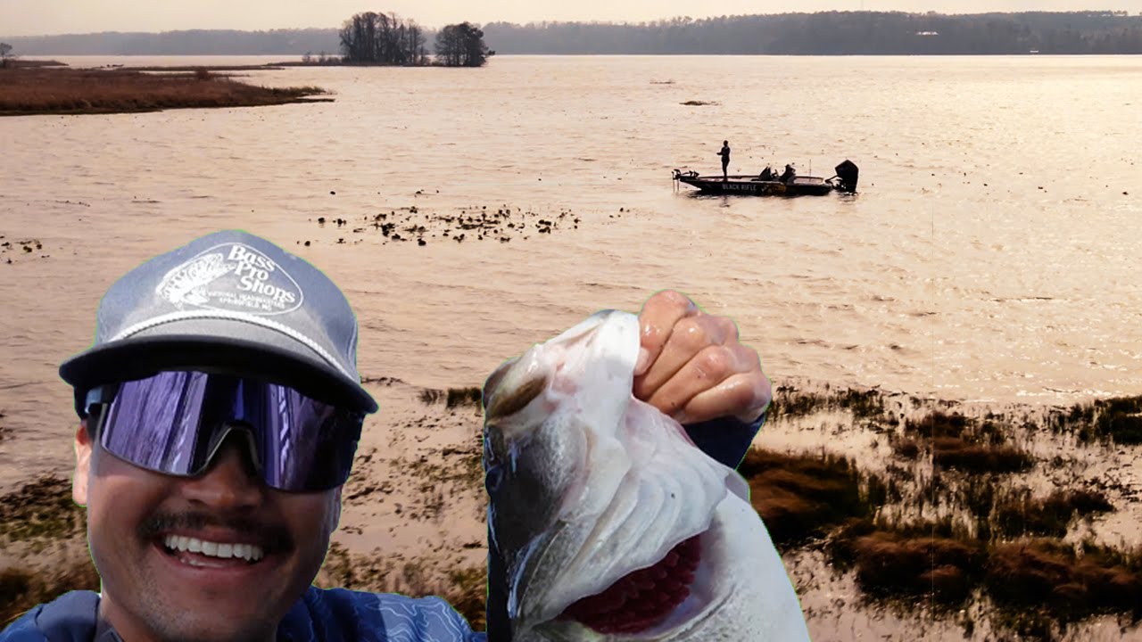 Bassmaster Lake Seminole: PRACTICE VLOG