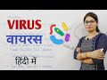 Virus in hindi | What is a virus? | Introduction to viruses | structure and symmetry of virus