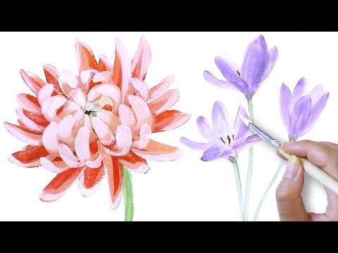 Video: Un fiore che sembra una peonia. Quali sono i nomi dei fiori che sembrano peonie