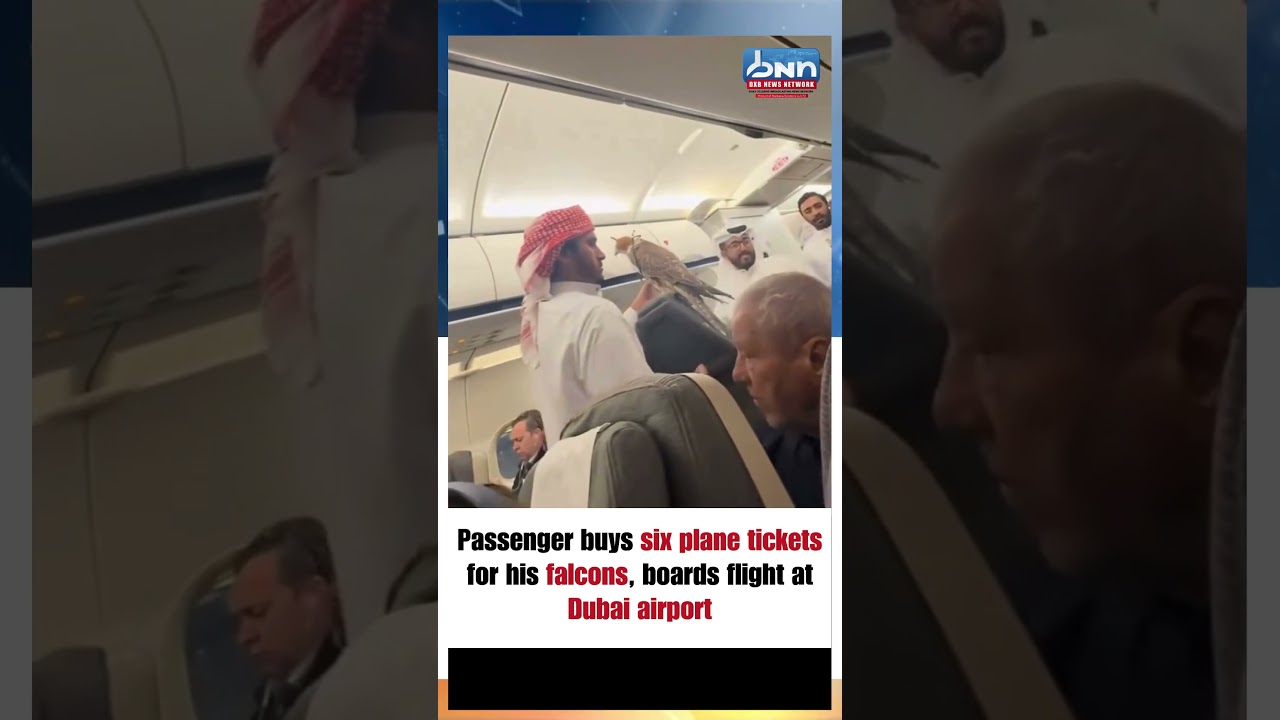 Dubai Man Buys 6 Plane Tickets For Falcons Cabin Flight