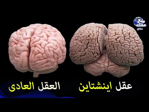 فيديو: ما نوع اللهجة التي يمتلكها ألبرت أينشتاين؟