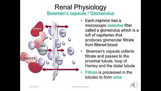 Dr Manny learn shop: CRRT Part 1 Introduction