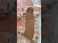 The mason used mud to repair the wall surface. #mason  #repair #shorts #building