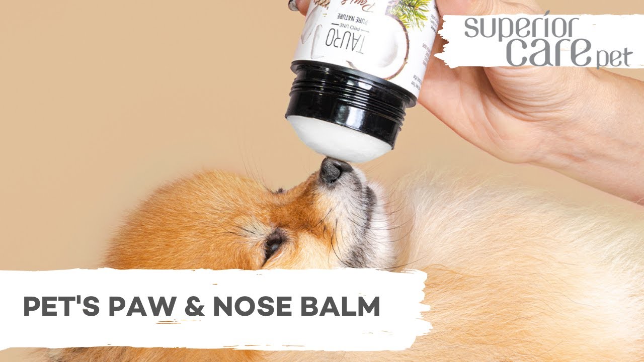 Pure Nature Paw Balm Nourishes&Restores, nourishes and restores paw pad  balm for dogs and cats