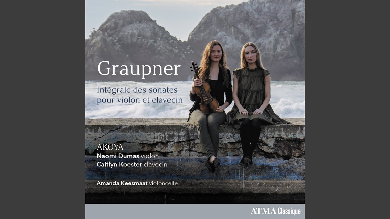 Sonata for Violin and Obbligato Harpsichord in G Minor, GWV 710: II. Allegro