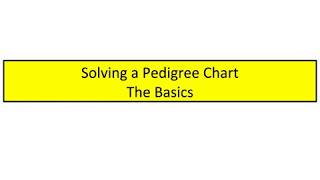 Solving a Pedigree Chart The Basics
