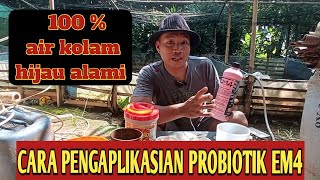 Download lagu HOW TO USE EM4 FISHERY FOR CULTIVATION OF CATFISH