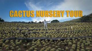 Cactus Nursery Tour