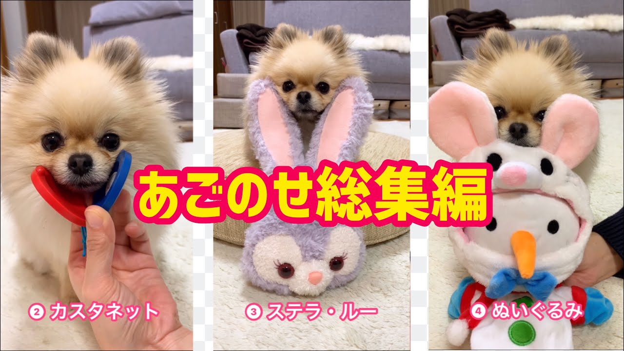 あごのせ総集編 どんな時もどんな物も あご 乗せちゃうんです Youtube