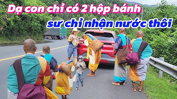 Bắt Gặp Sư Minh Hạnh Sư Chơn Tâm Sư Minh Long Đang Đi Bộ Hành Trên Đèo Cả Phú Yên