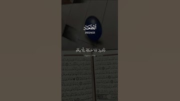 #سورة_النحل #قران_كريم #المصحف
