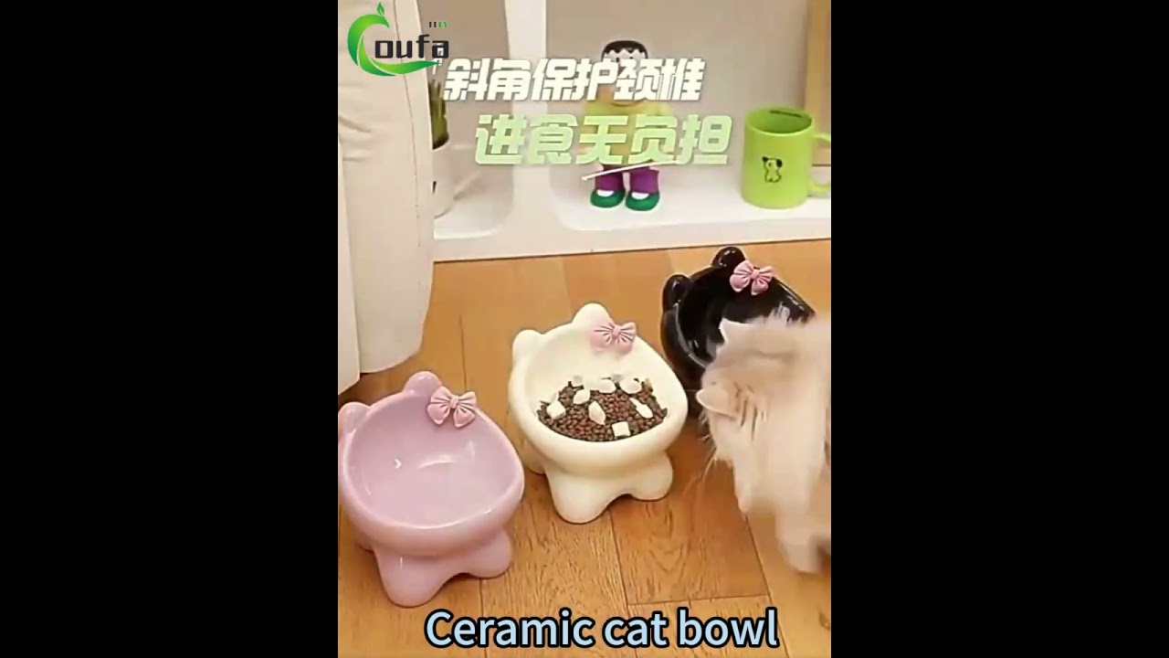 Ceramic cat bowl