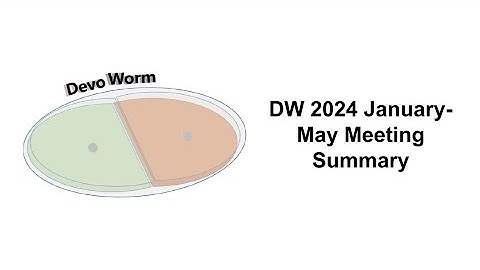 DevoWorm 2024.1 AI Summaries