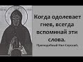 Всегда вспоминайте эти слова, когда одолевает гнев. Преподобный Нил Сорский.