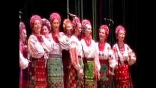Українська народна пісня Гей, у лісі, в лісі