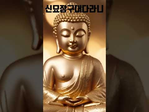 😮신통하고 묘함(진짜) #<strong>신묘장구대다라니</strong> #힙하게