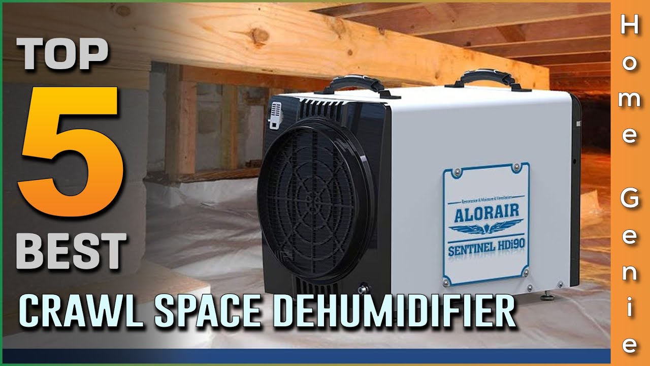 Top 5 Best Crawl Space Dehumidifiers Review in 2023 Our