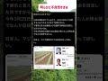 #高市早苗 #自民党 #税金 #政治