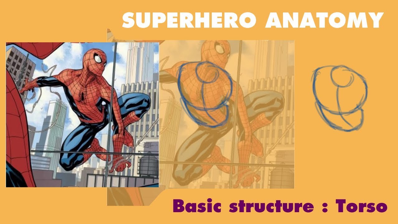 Superhero anatomy 02 Basic structure of Torso with Spider man - YouTube