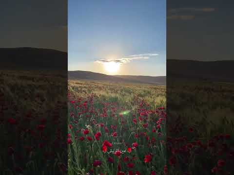 عين الريش بوسعادة Travel Travelvlog Nature