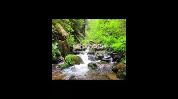 #قران_كريم | القارئ محمد أيوب | اكتب شيء تؤجر عليه 🤍